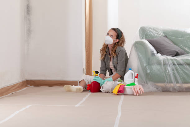 Reliable Mold Inspection contractor in Hanover Park, IL by WQB Mold Removal